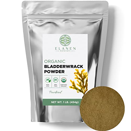 Organic Bladderwrack Powder 1 lb (16 oz) - USDA Certified Organic Kelp Supplement from France, Seaweed Powder for Thyroid Support & Detox - Perfect for Smoothies, Teas & Herbal Remedies
