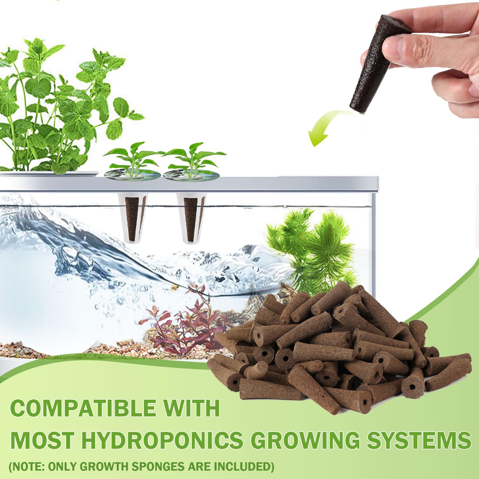 80 Pack Hydroponic Grow Sponges - Seed Starter Pods for AeroGarden & Indoor Gardening | Root Growth Sponges Replacement | Perfect for Hydroponics, Aeroponics & Home Herb Gardens
