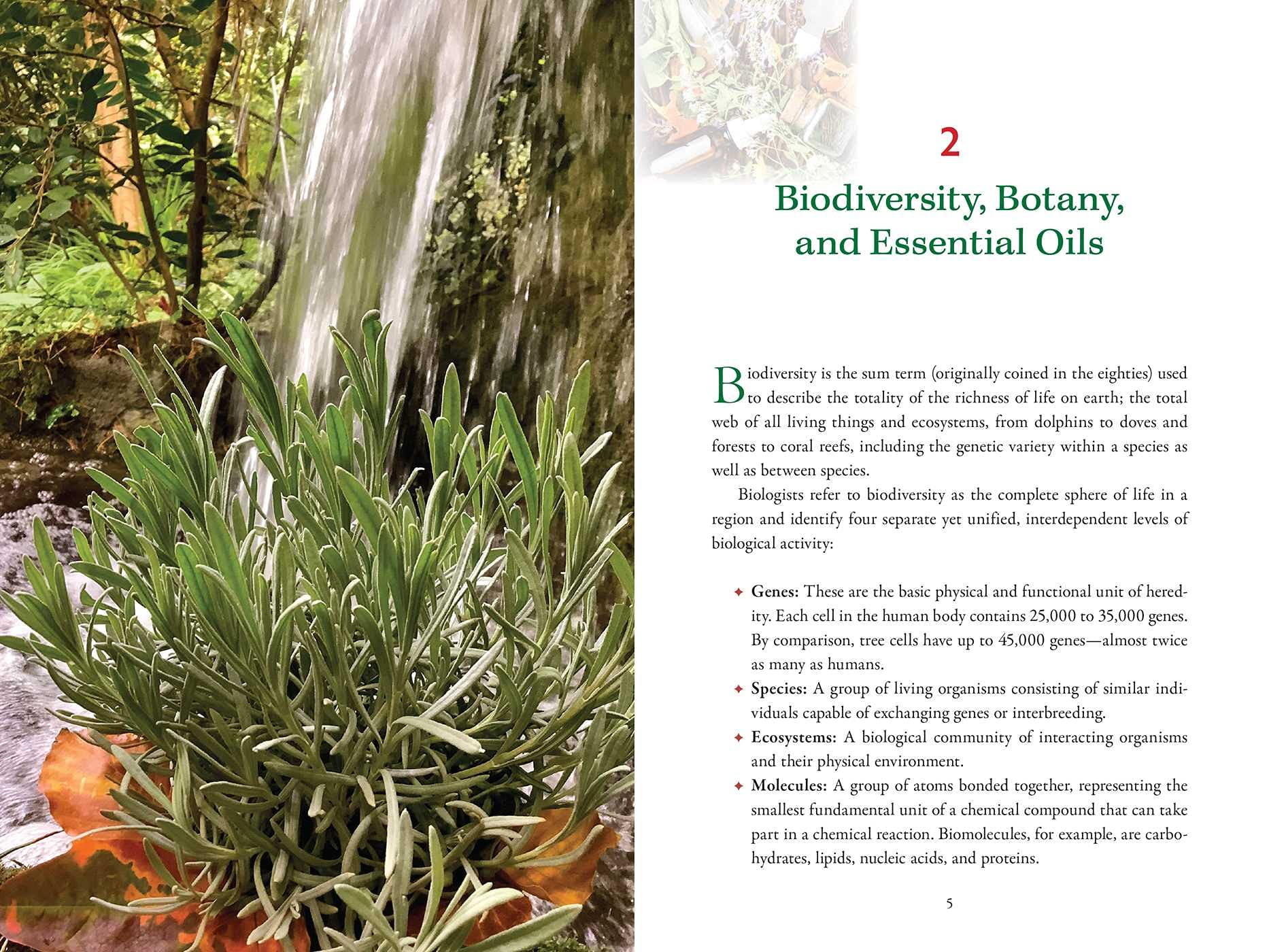 58 Essential Oils for Healing: Antiviral & Restorative Properties | Natural Remedies for Wellness, Stress Relief & Aromatherapy | Boost Immunity & Enhance Life