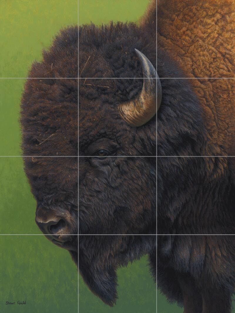 Premium Ceramic Backsplash Tile Mural - Buffalo Bison Wildlife Art by Shawn Gould for Kitchen & Bathroom Decor - Perfect for Rustic, Cabin, or Western Style Homes