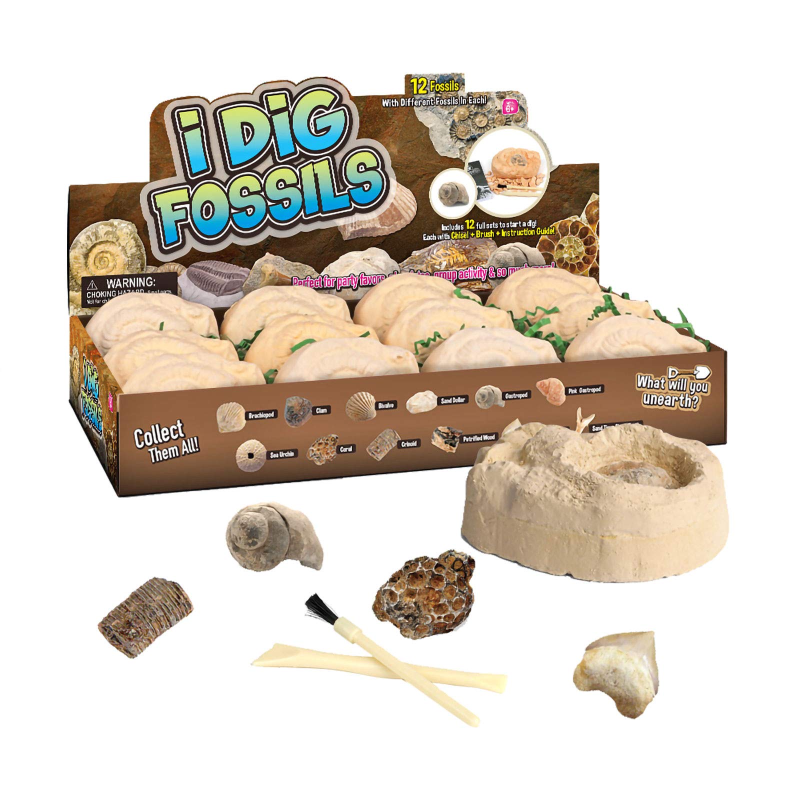 Kids Fossil and Gemstone Dig Kit - Excavate 12 Real Gems & Minerals | STEM Educational Science Toy for Children | Perfect for Birthday Gifts, Classroom Activities & Homeschool Learning