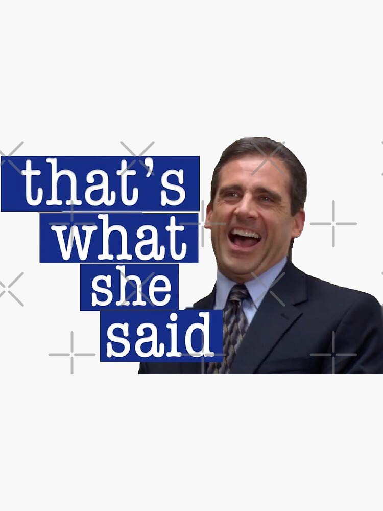 Funny 'That's What She Said' Office Sticker - Waterproof Decal for Hydro Flask, Laptop, Skateboard - Perfect for Work Humor, Water Bottles & Tech Accessories