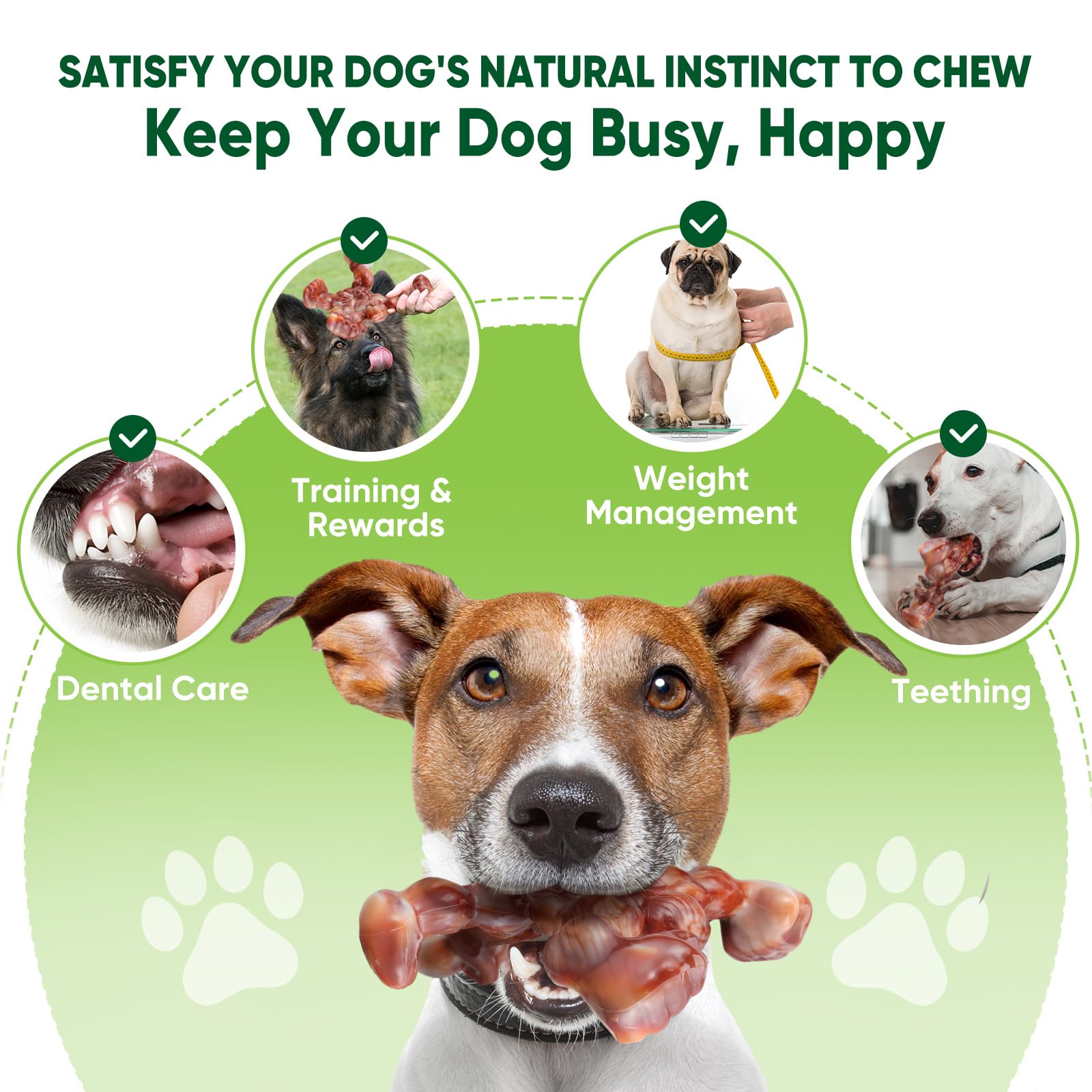 Indestructible Dog Chew Toys for Aggressive Chewers - Large Breed