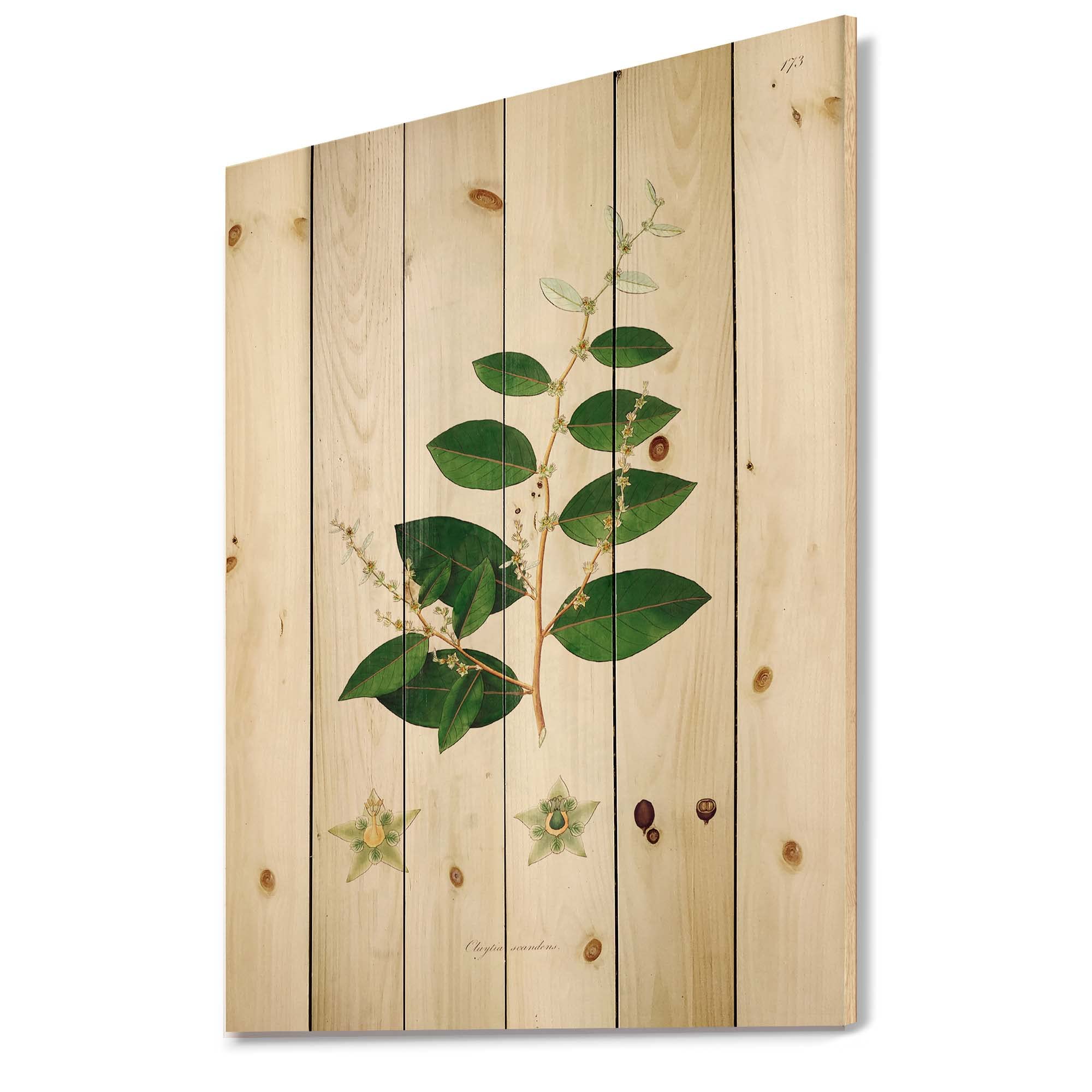Vintage Farmhouse Wood Wall Decor - Floral Botanical Print on Natural Pine Wood, Large Green Wall Art Panel for Living Room, Bedroom & Home Decor