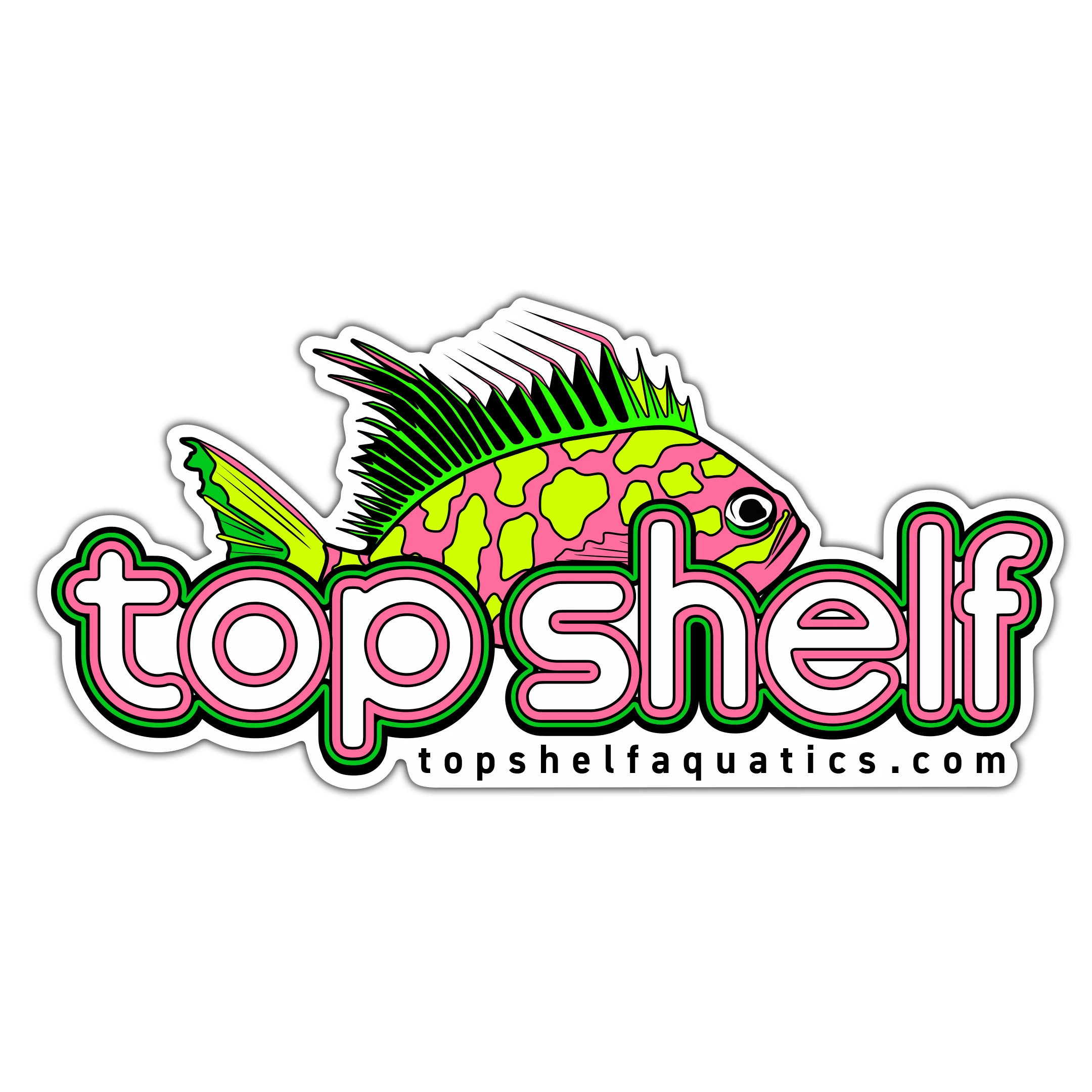 Borbonius (Blotched) Anthias Fish Sticker - Vibrant Saltwater Aquarium Decal for Tanks, Laptops & Water Bottles | Perfect for Marine Life Enthusiasts & Fish Lovers