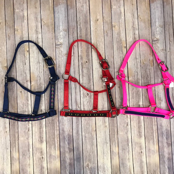 Arabian Halter Barabhalt 09Cflk - Elegant Arabian Horse Halter with Rhinestone Decor for Equestrian Shows & Training | Perfect for Arabian Horses, Dressage Competitions & Photo Shoots