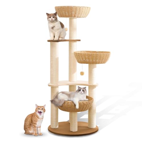 Cat Tree 2022