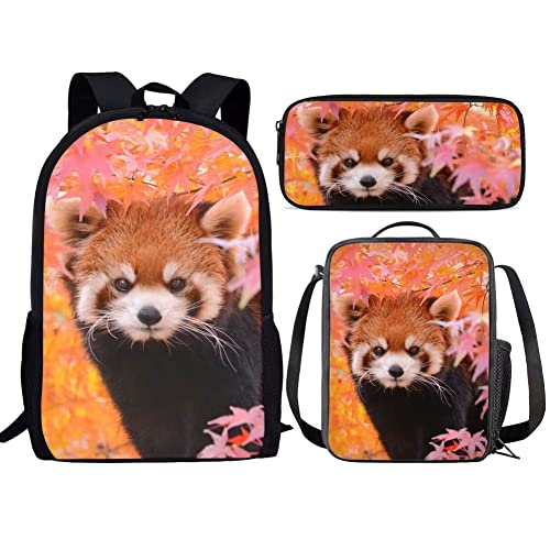 Cute Red Panda