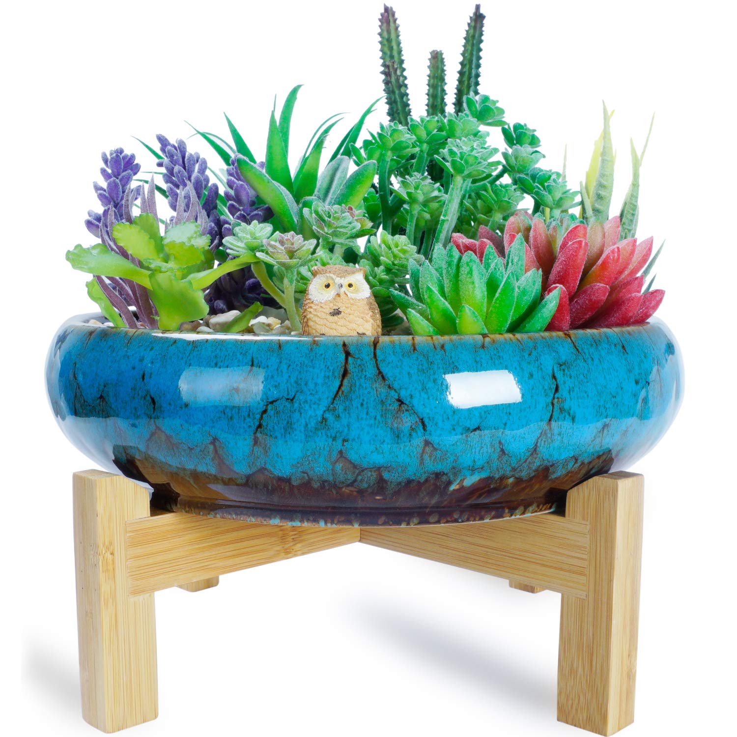 10 Inch Large Ceramic Succulent Planter Pot with Drainage Hole & Stand - Round Shallow Bonsai Flower Container Bowl for Cactus, Indoor/Outdoor Plants - Perfect for Home Decor, Office Desk & Garden Decoration