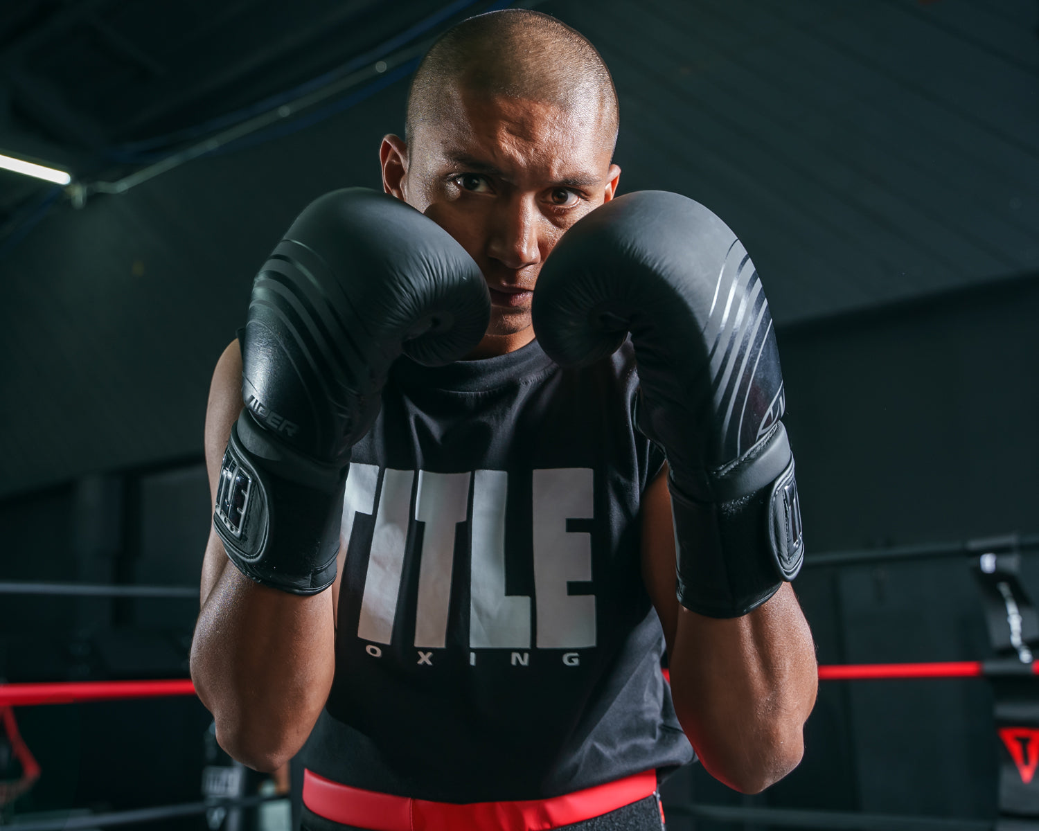 TITLE Boxing Select Training Boxing Gloves 2.0 - Premium Viper Series for MMA, Kickboxing & Fitness Training - Perfect for Sparring, Bag Work & Gym Sessions