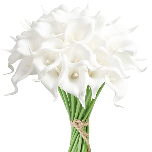 24pcs-white