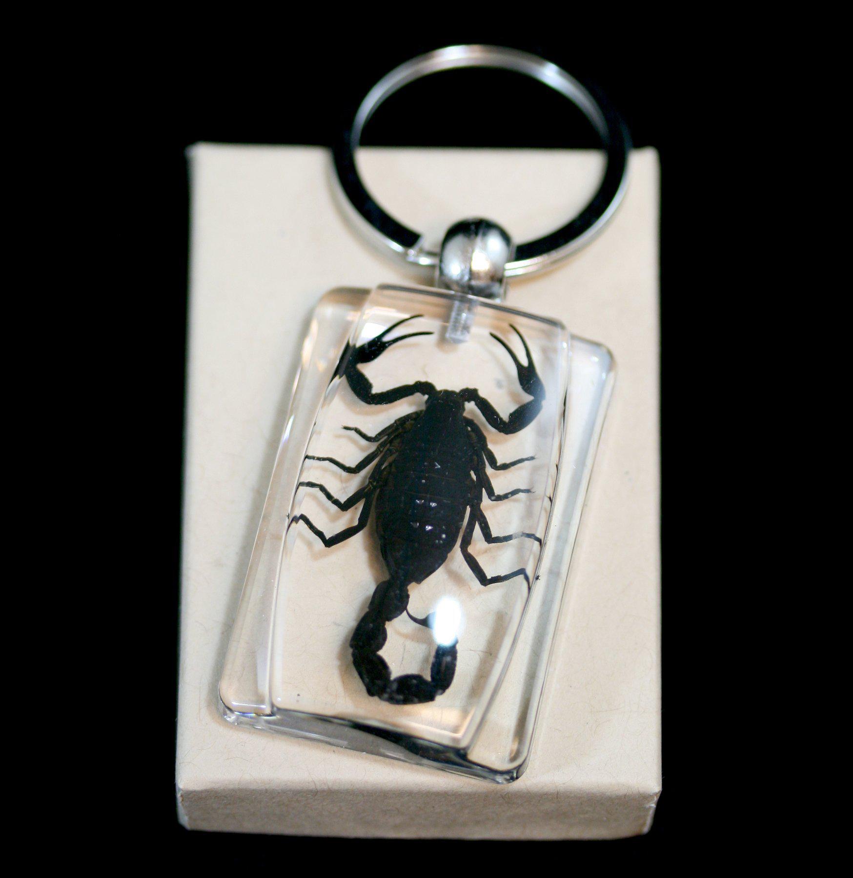 Black Scorpion Keychain - Durable Metal Key Ring for Men & Women - Perfect for Car Keys, House Keys & Backpacks - Unique Gift for Halloween & Outdoor Enthusiasts