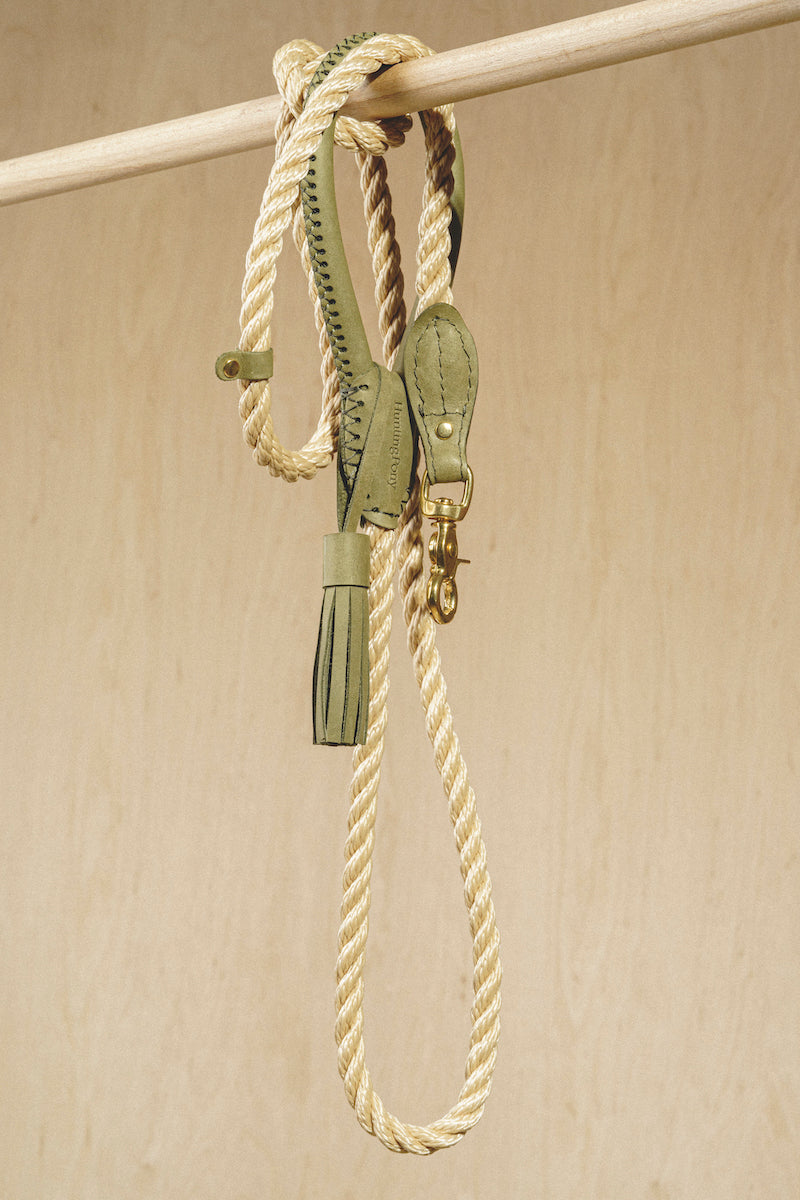 Premium Dog Walking Kit - Durable Country Leash & Collar Set in Green for Outdoor Adventures, Hiking, and Daily Walks