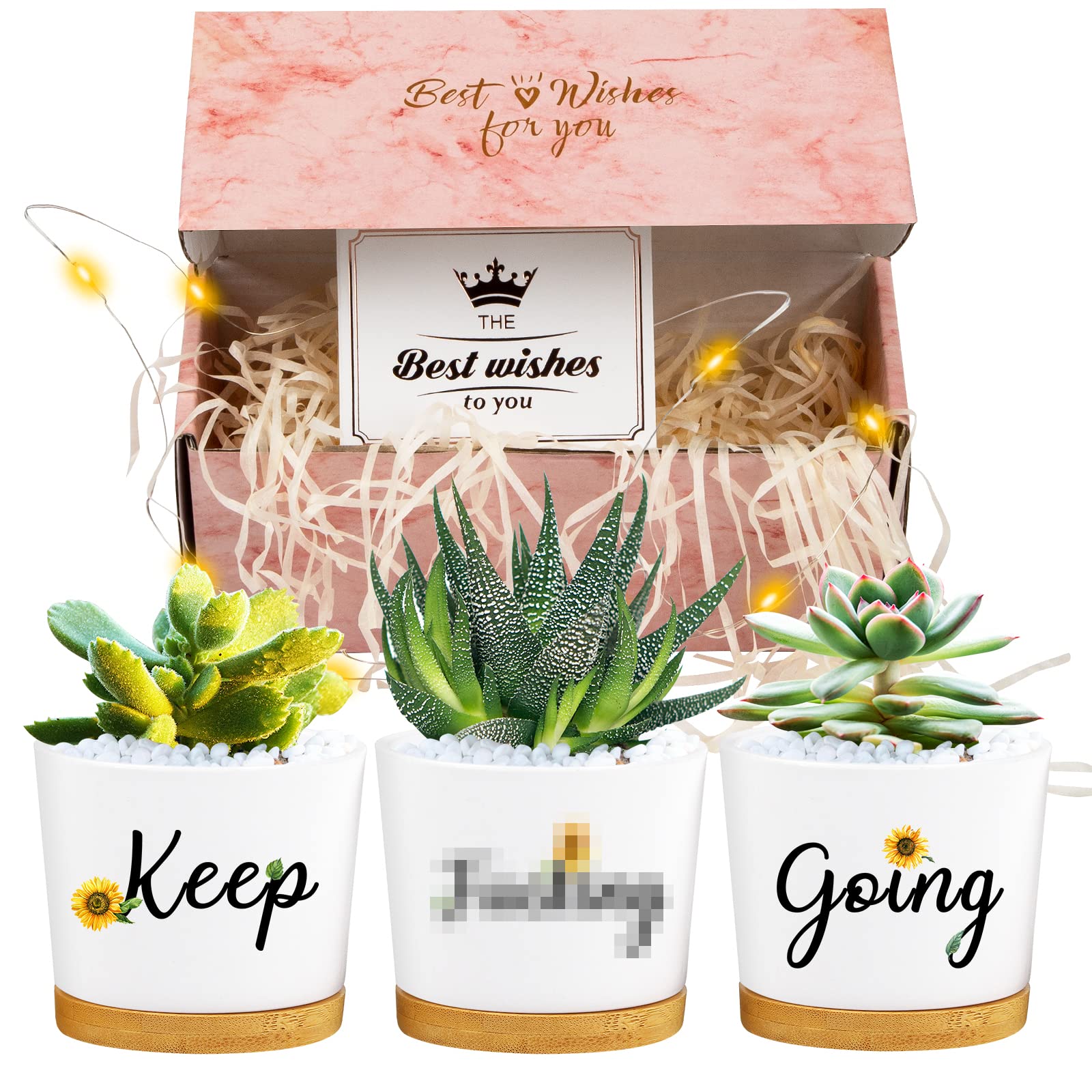 QCQHDU Unique Birthday Gifts for Women - Inspirational Graduation & Best Friend Gifts with Plastic Succulent Pots in Gift Box | Perfect for Home Decor, Office Desk & Special Occasions