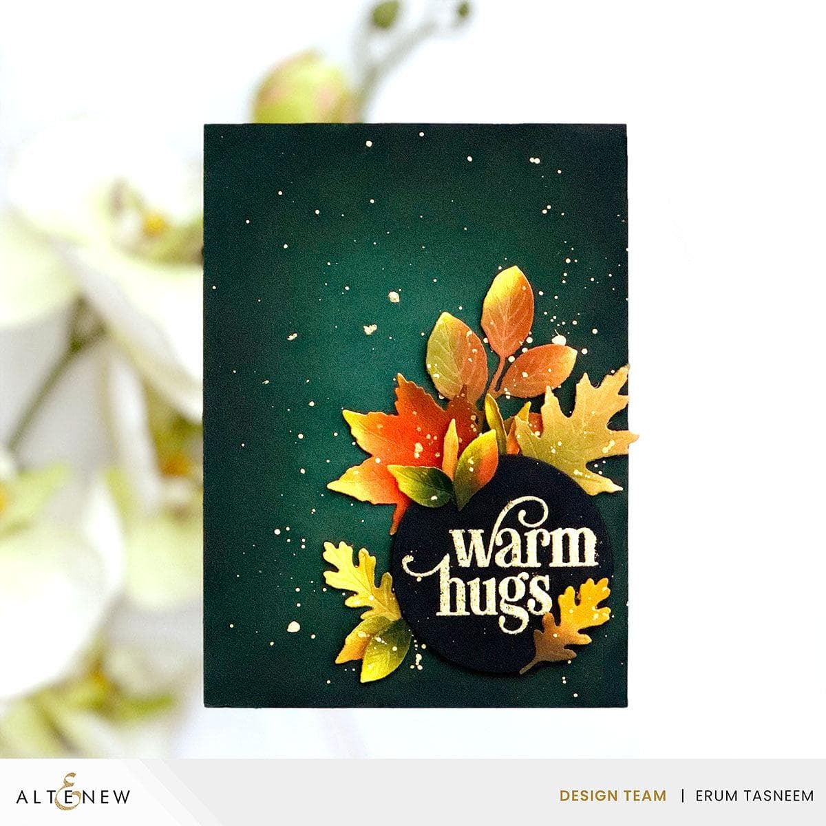 Pretty Pumpkins Layering Die Set for DIY Scrapbooking, Card Making & Fall Crafts - Perfect for Halloween, Thanksgiving & Autumn Home Decor