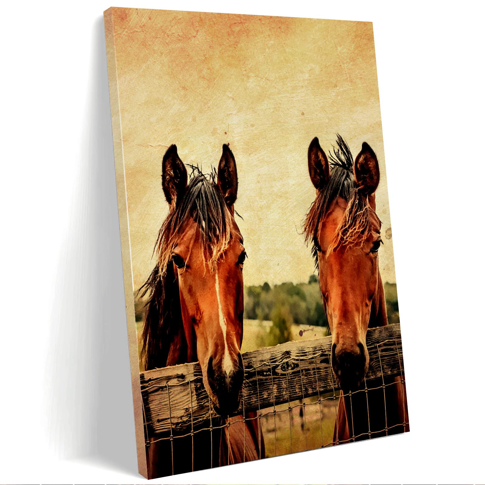 Horse Canvas Wall Art - Farmhouse Decor for Living Room, 12x18