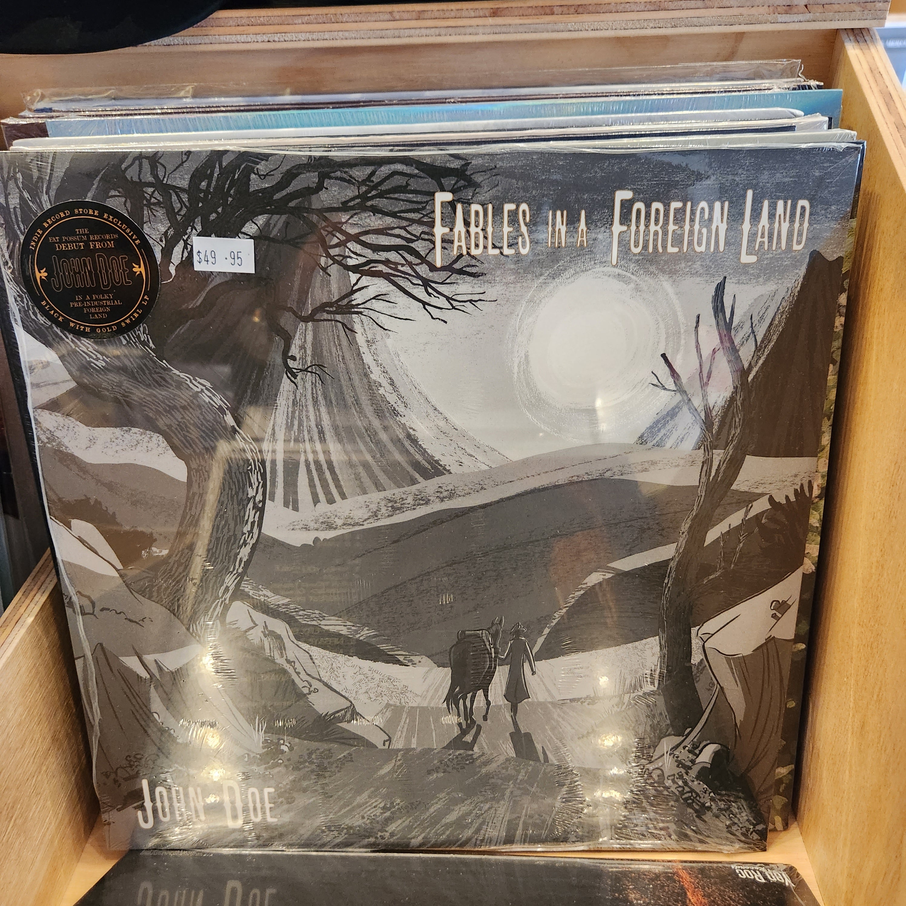 John Doe Fables in a Foreign Land Vinyl Record LP - Limited Edition Collectible for Audiophiles & Music Lovers - Perfect for Home Listening, Gifts, and Vinyl Collections