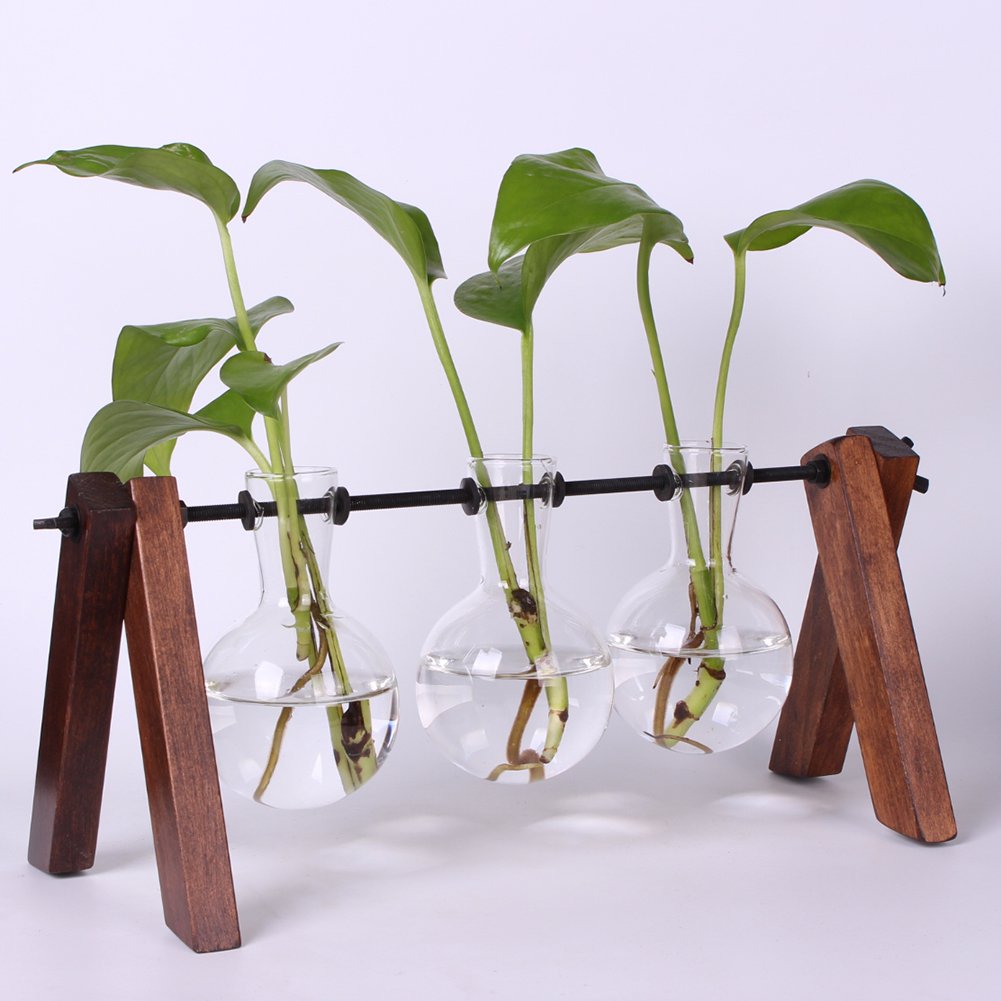 Vintage Glass Planter Bulb Vase with Wooden Stand & Metal Swivel Holder - Air Plant Terrarium for Home, Office, Garden Decor (Set of 3) - Perfect for Indoor Plants, Succulents, and Home Décor Display