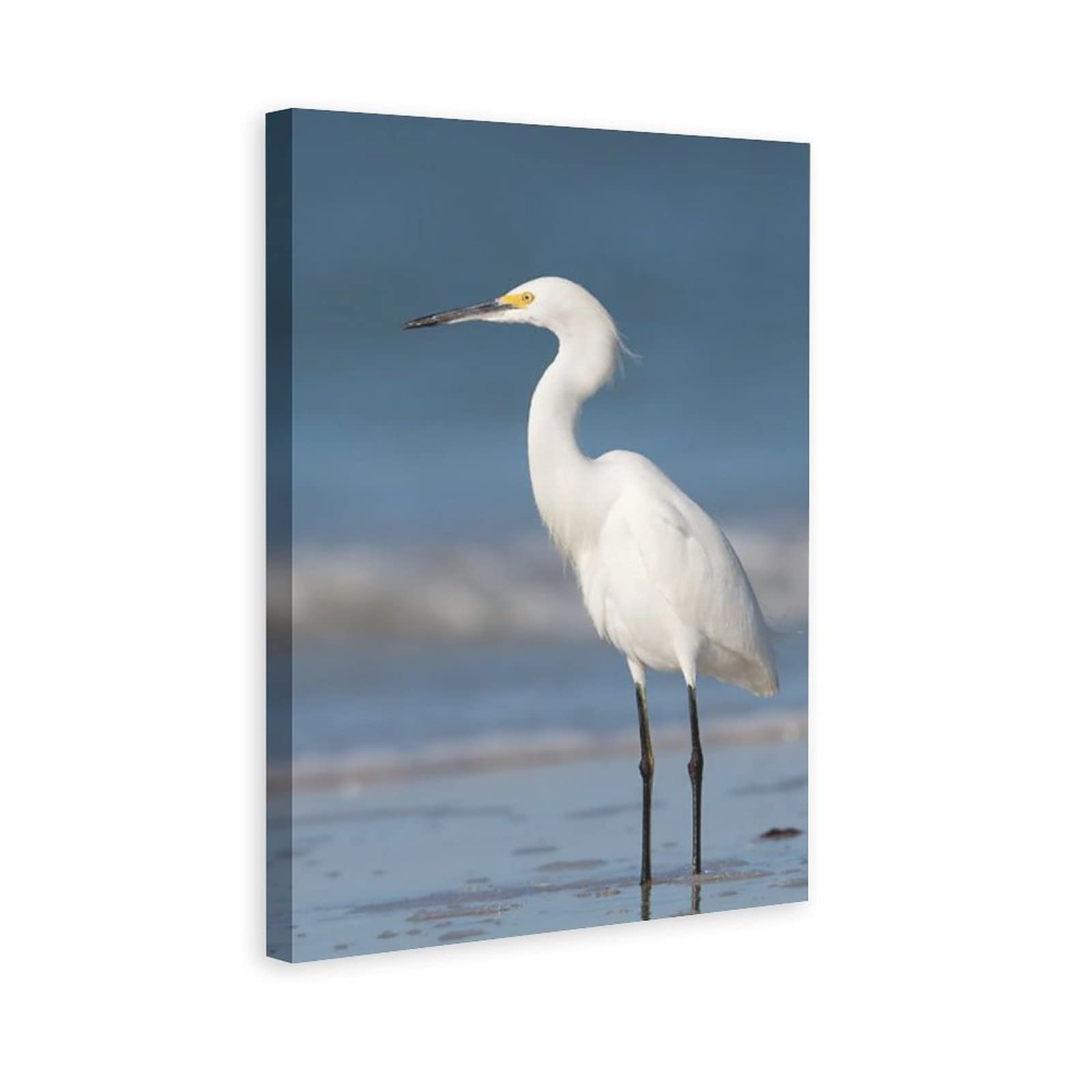 Wild Animals Great Egret White Bird Canvas Wall Art - 20x30 Inch Nature Landscape Painting for Living Room, Bedroom & Office Decor | Perfect Gift for Bird Lovers & Home Decoration