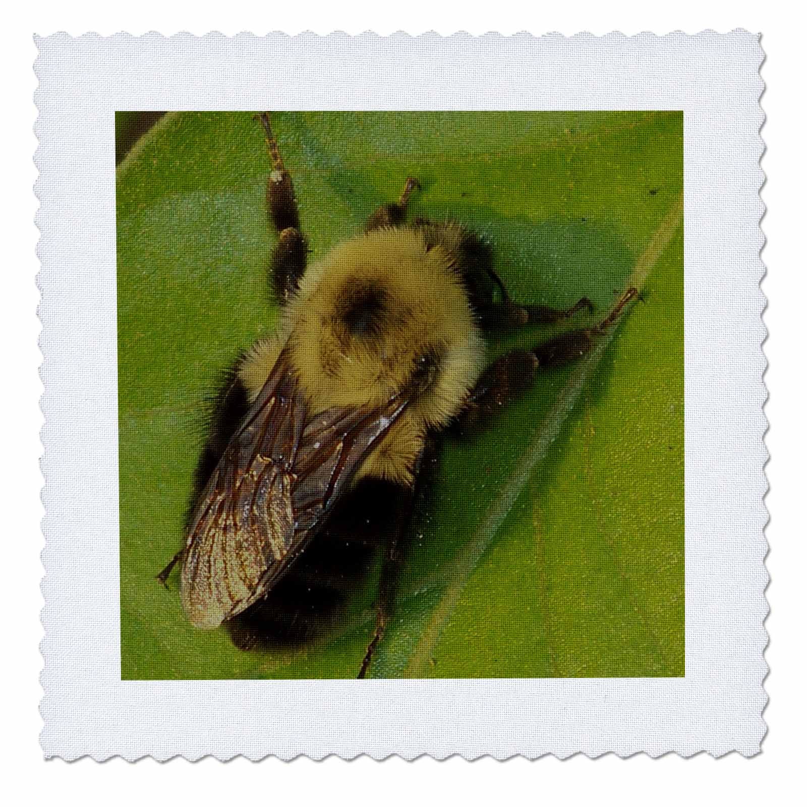 3D Rose LLC qs_18419_1 Bumble Bee Quilt Square - 10x10 Inch Cotton Fabric Patch for DIY Quilting, Sewing & Home Decor Projects - Perfect for Bee-Themed Crafts, Baby Blankets & Wall Art