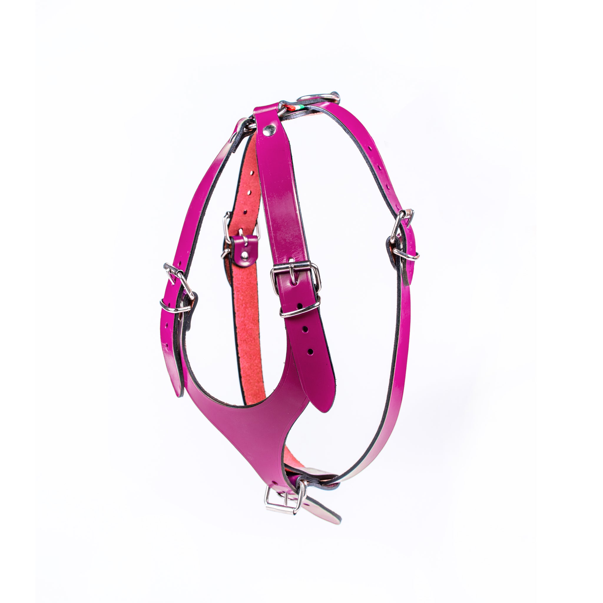 Premium European Leather Dog Harness for Small & Medium Breeds - Adjustable, Durable & Comfortable for Daily Walks, Training & Outdoor Adventures