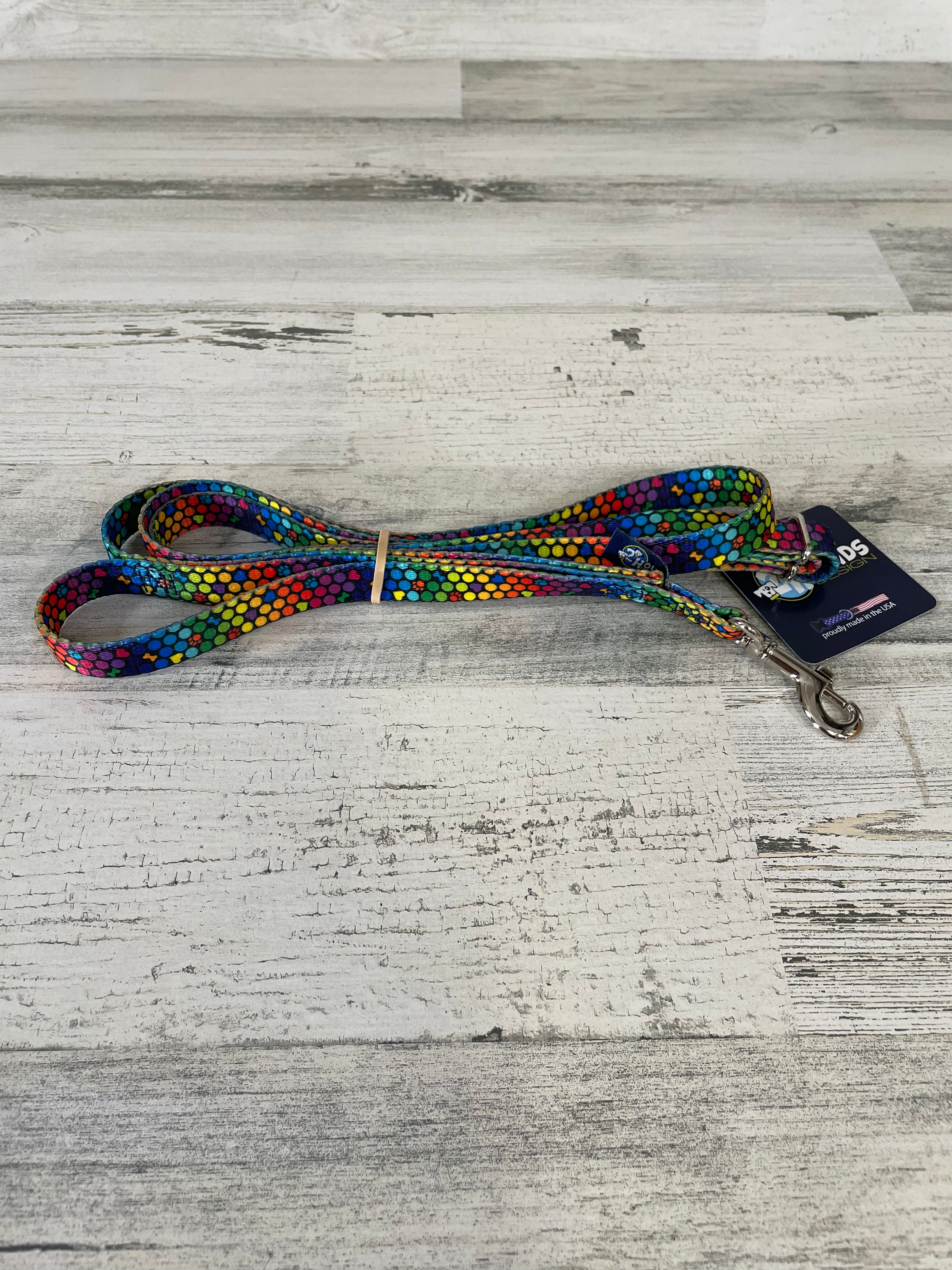 ROY G BIV 5/8 Inch 4 Foot Dog Leash - Durable Nylon Pet Walking Lead for Small to Medium Dogs, Perfect for Daily Walks, Training & Outdoor Adventures