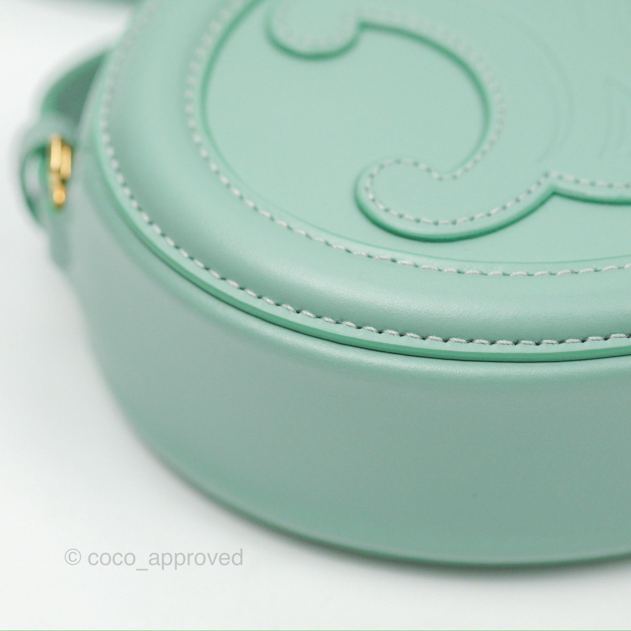 Celine Oval Bag Triomphe in Ice Mint Calfskin Leather - Luxury Crossbody Purse for Women, Perfect for Date Night & Evening Events