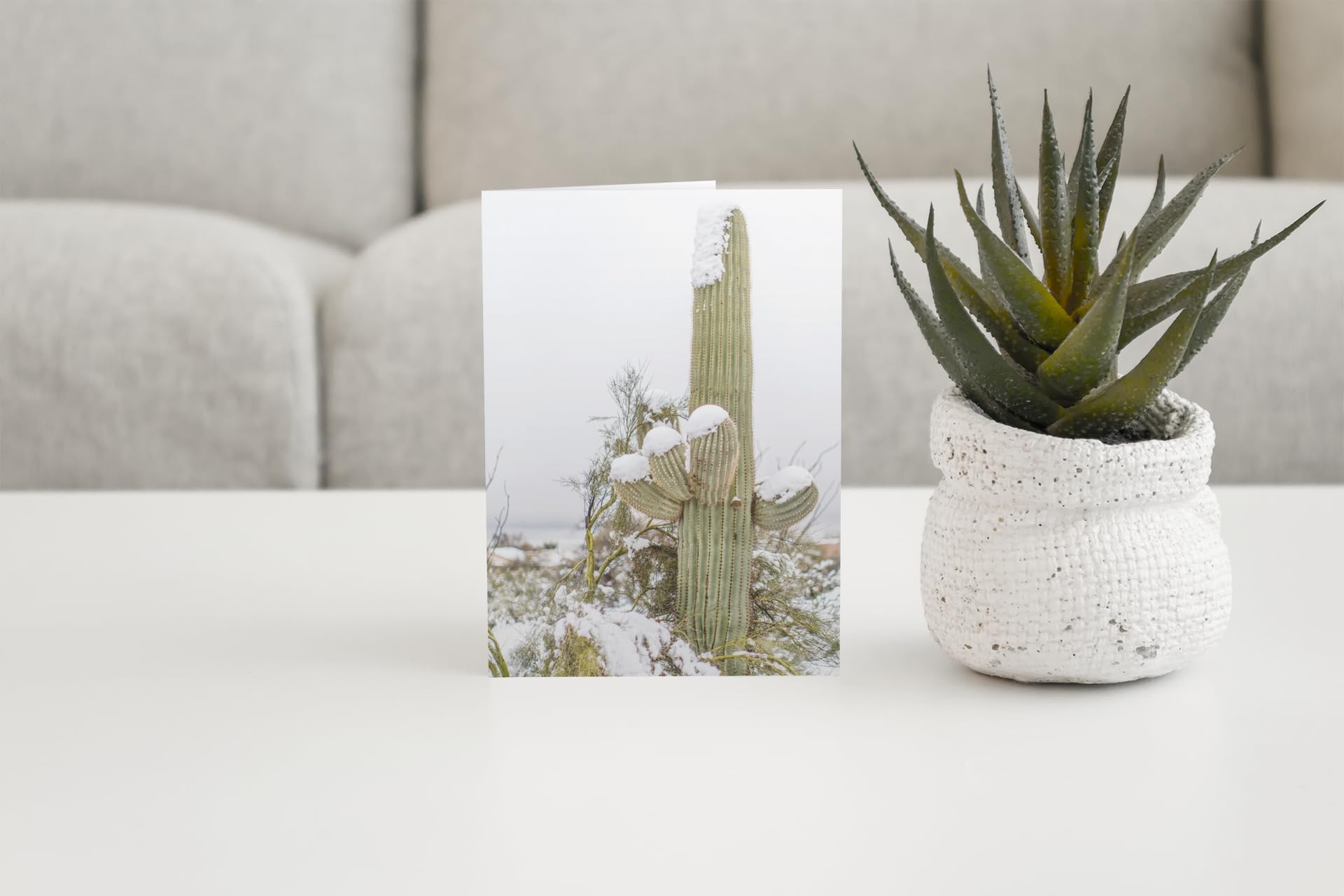 Stonehouse Collection | Snow on Saguaro Cactus Greeting Cards | Winter Desert Note Cards with Envelopes | Perfect for Holiday Greetings, Birthday Wishes & Special Occasions