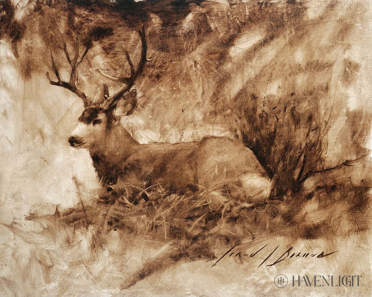 Bedded Buck By Jared Barnes - Premium Hunting & Outdoor Gear for Camping, Hiking & Adventure Enthusiasts