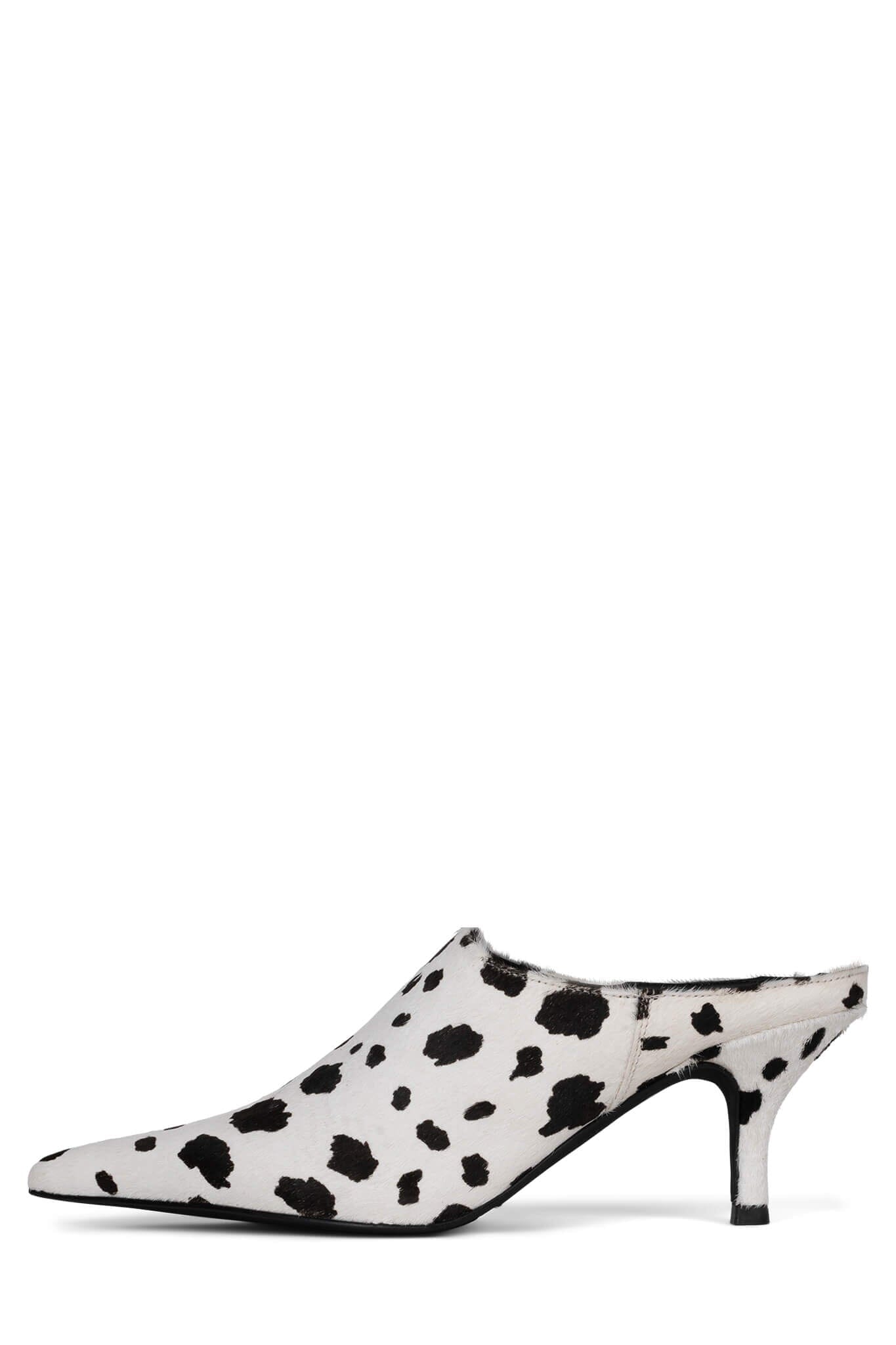 Black White Dalmatian