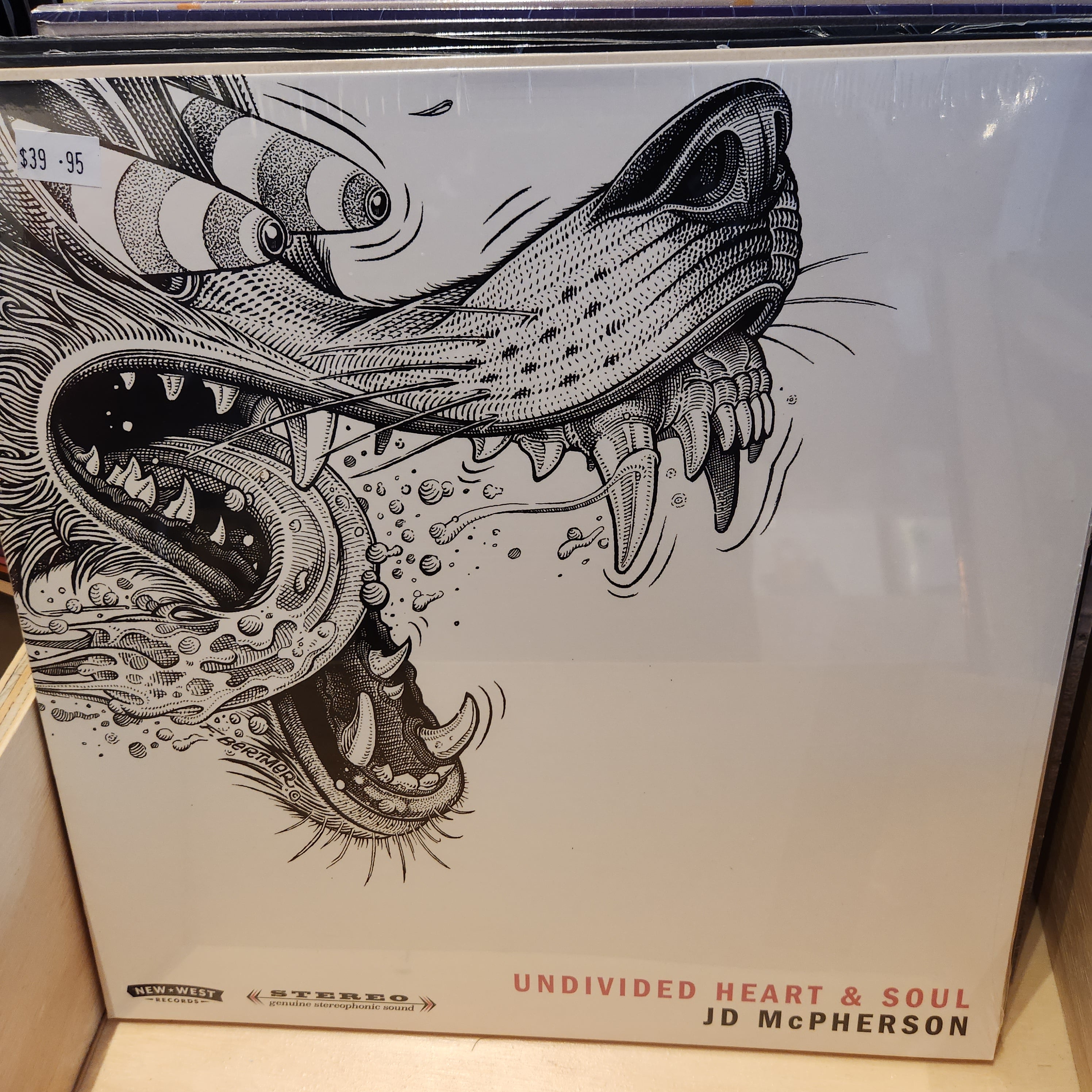 JD McPherson - Undivided Heart & Soul Vinyl LP Record | Classic Rock & Blues Music for Collectors & Audiophiles | Perfect for Home Listening & Vinyl Enthusiasts