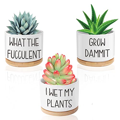 I Wet My Plants