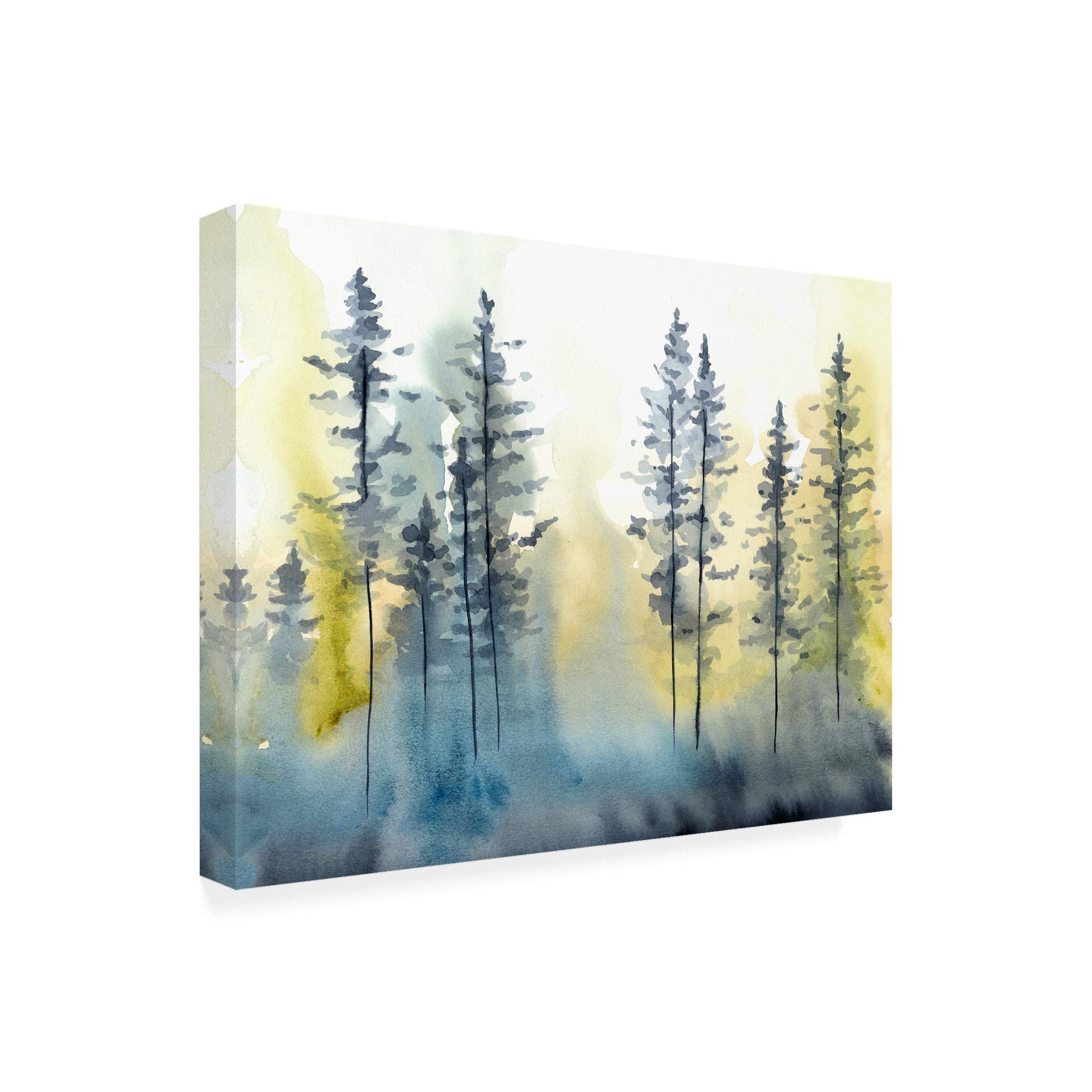 Shadow Forest I by Chariklia Zarris - 35x47 Framed Canvas Wall Art Print - Modern Nature Landscape Painting for Living Room, Bedroom & Office Decor