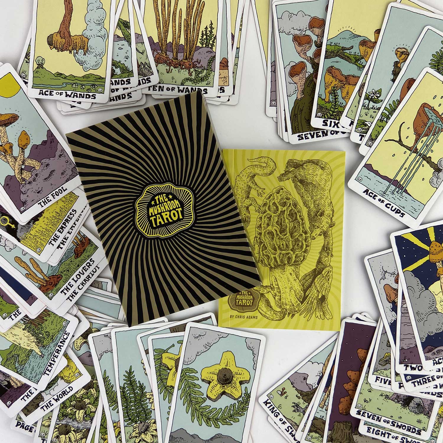 The Mushroom Tarot Deck - Unique Botanical Tarot Cards for Divination, Spiritual Guidance & Meditation - Perfect for Psychic Readings, Witchcraft & Gift Giving