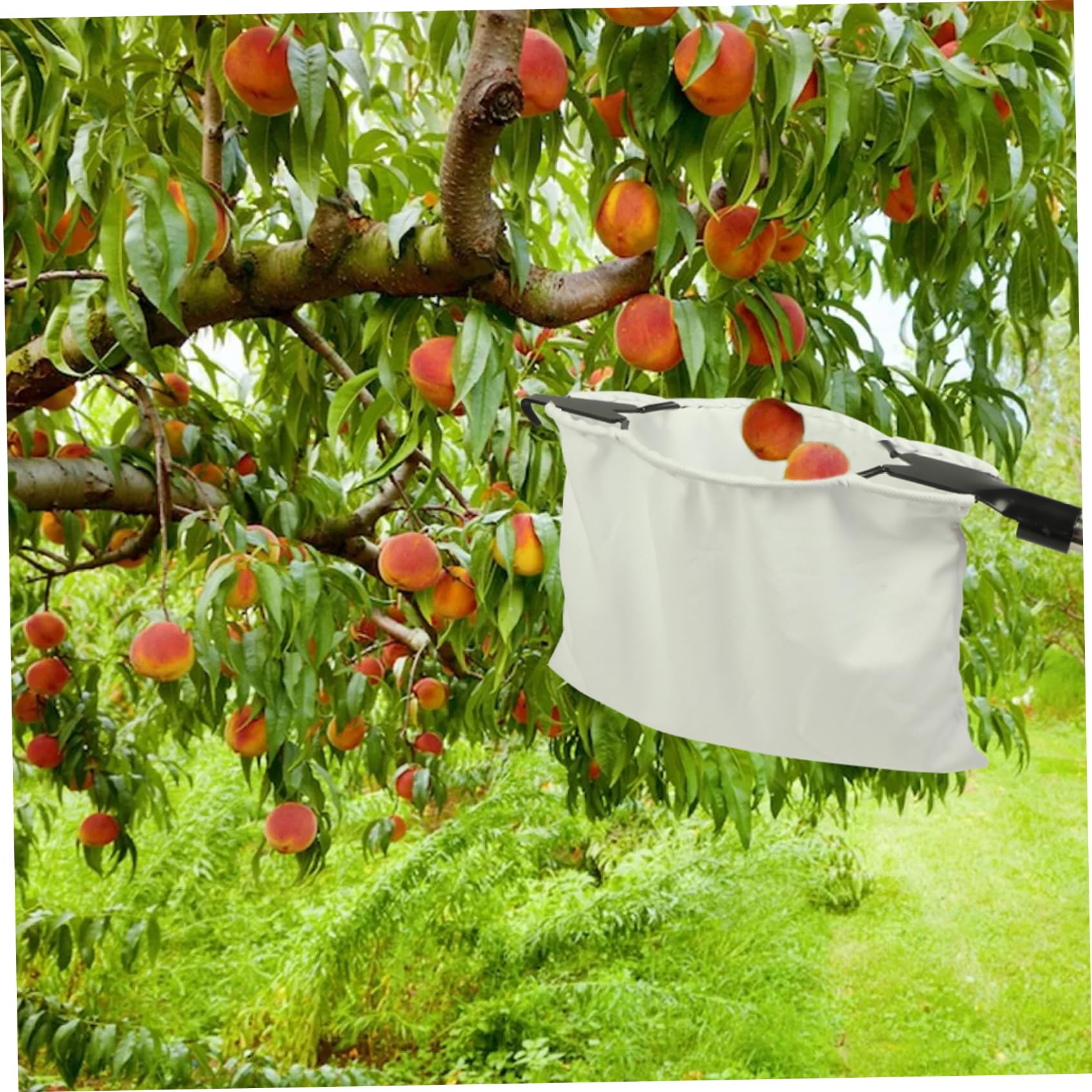 14.57x5.51x1.18 Inch Fruit Picker Basket with Cutter - Apple Picker, Cherry Picker Bag for Orange, Peach, Pear - Durable Outdoor Fruit Harvesting Tool for Garden, Orchard & Farm Use
