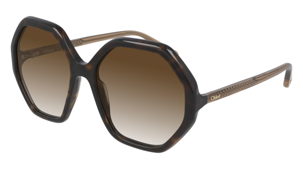 Dark Tortoise/Brown Gradient
