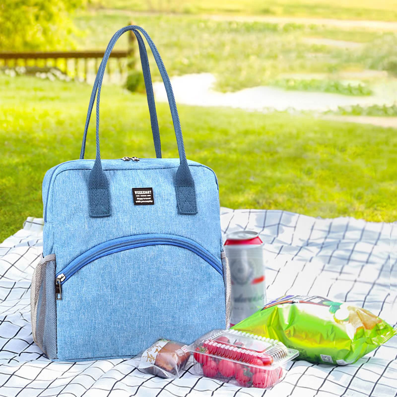 Insulated Lunch Bag for Work & School - Portable Soft Cooler Tote with Waterproof Leakproof Design & Side Mesh Pocket | Reusable Lunch Box for Office, Picnic, Beach & Outdoor Activities (Blue)