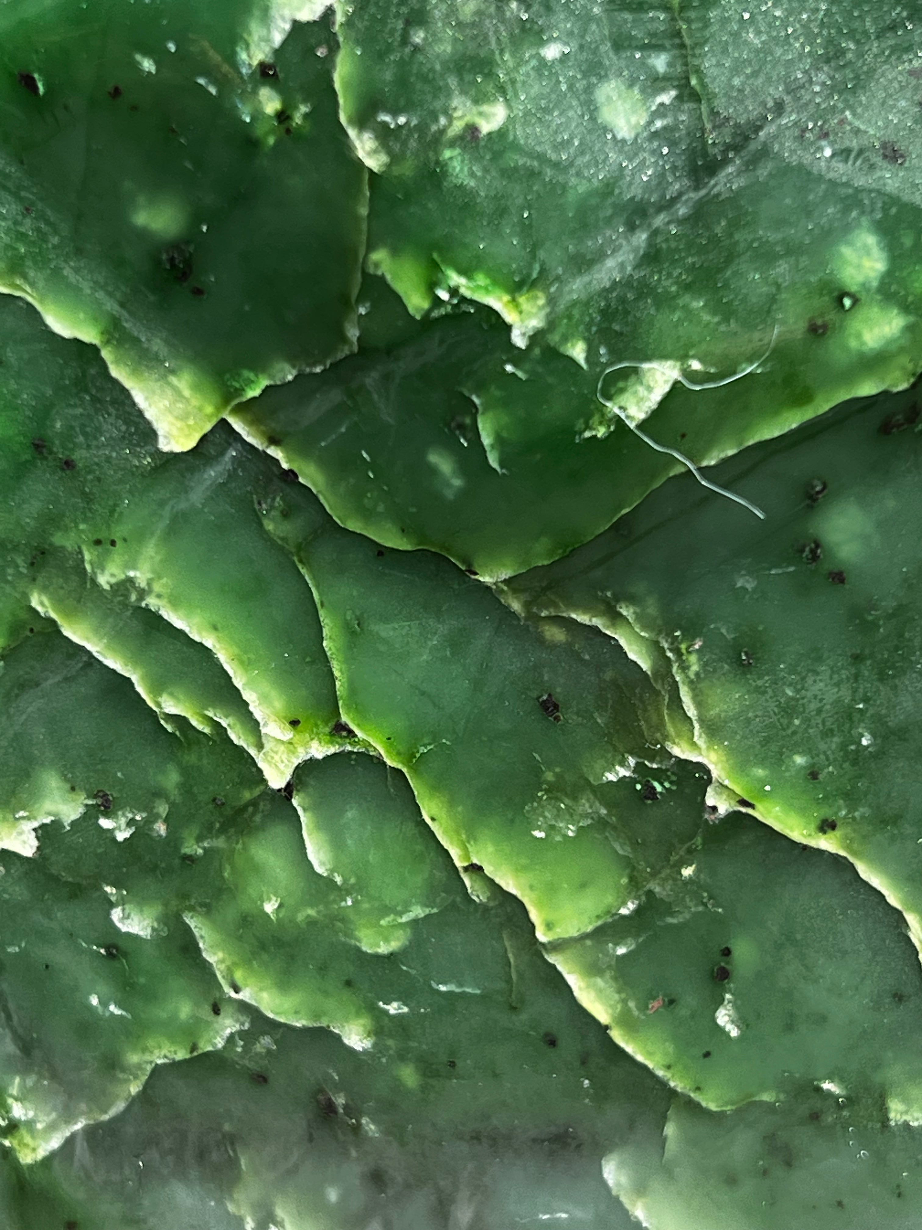 Premium Large Nephrite Jade Freeform Statement Piece - 3.10 lbs, 6.5 Inches - Handcrafted Natural Gemstone for Home Decor, Meditation & Jewelry Making