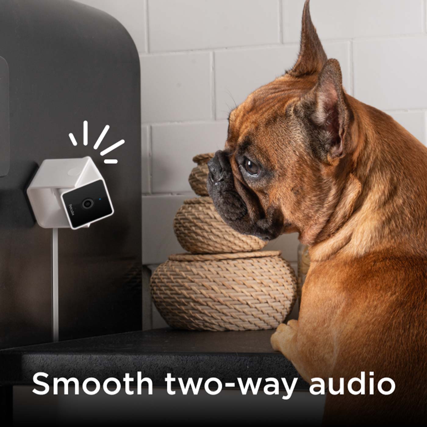 Petcube 2-Way Audio HD Pet Camera with Night Vision - Monitor & Talk to Your Dog or Cat at Home, Day or Night