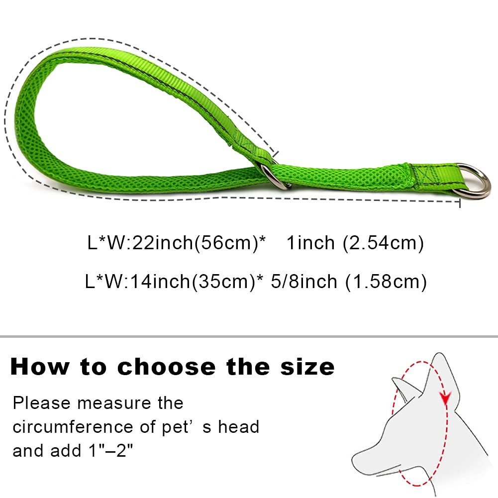 Reflective Dog Leash & Collar for Small Medium Dogs - Training & Night Walking Safety