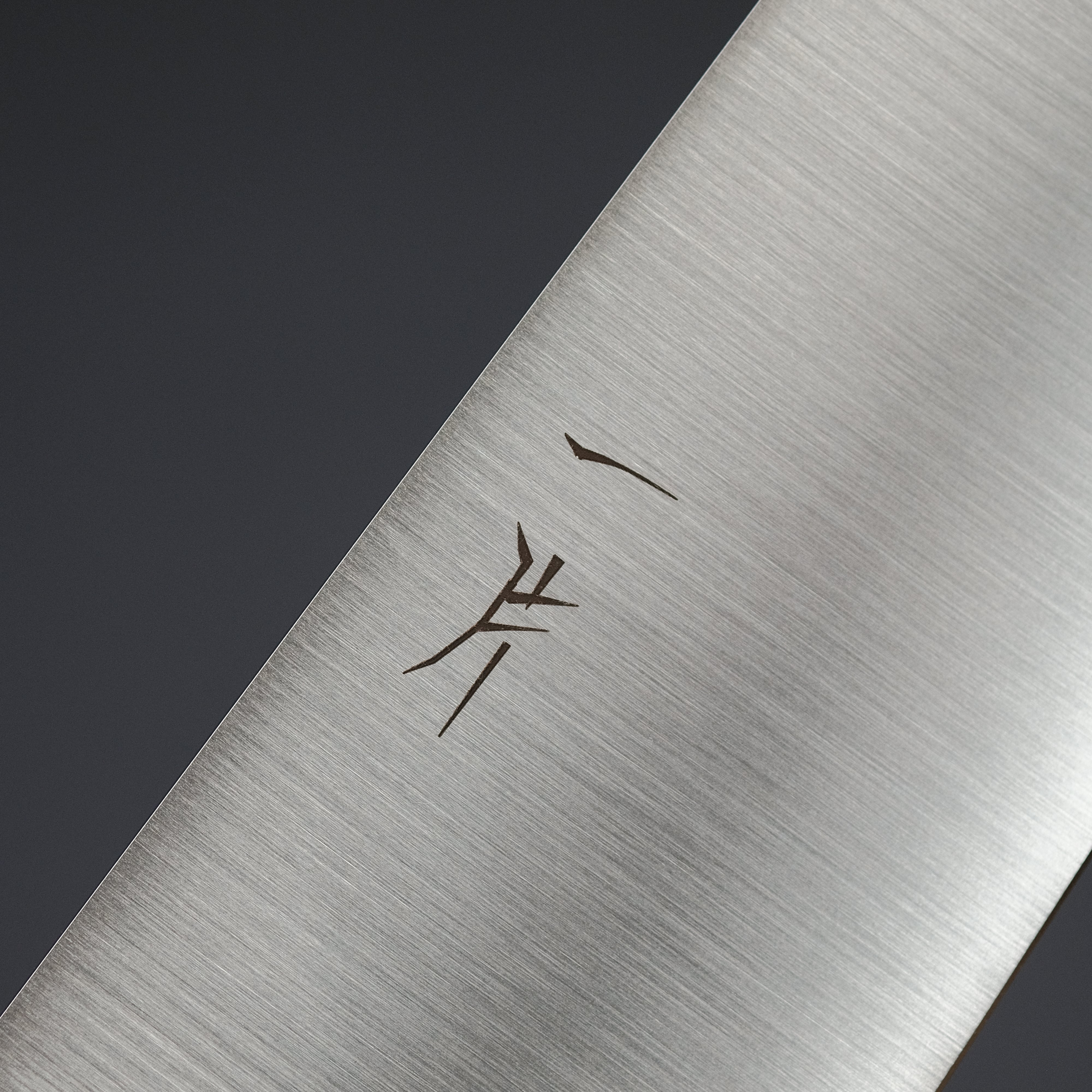 Hitohira FJ VG-10 Gyuto Japanese Chef Knife 240mm with Ho Wood Handle - Professional Kitchen Knife for Slicing, Dicing & Meat Cutting