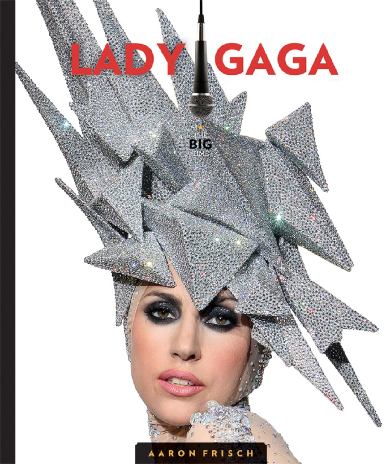 Lady Gaga Biography Book 9781608183326 - Perfect for Fans, Music Lovers & Gift Giving
