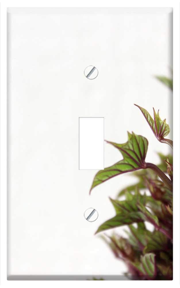 Organic Sweet Potato Sprout Single Toggle Switch Plate - Decorative Wall Cover for Home, Kitchen, Nursery & Farmhouse Decor