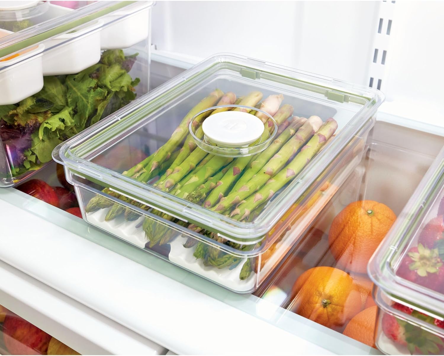 Fresh Large Short Bin with Insert Tray - Premium Storage Solution for Kitchen, Bathroom & Office Organization - Perfect for Trash, Recycling & Household Items