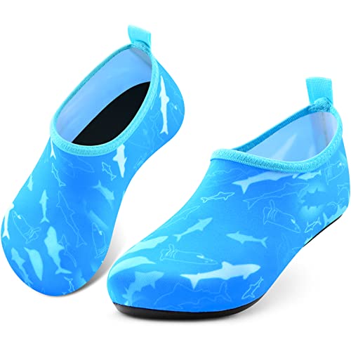 Blue Dolphin