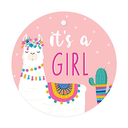 Round Circle Gift Tags It's a Girl