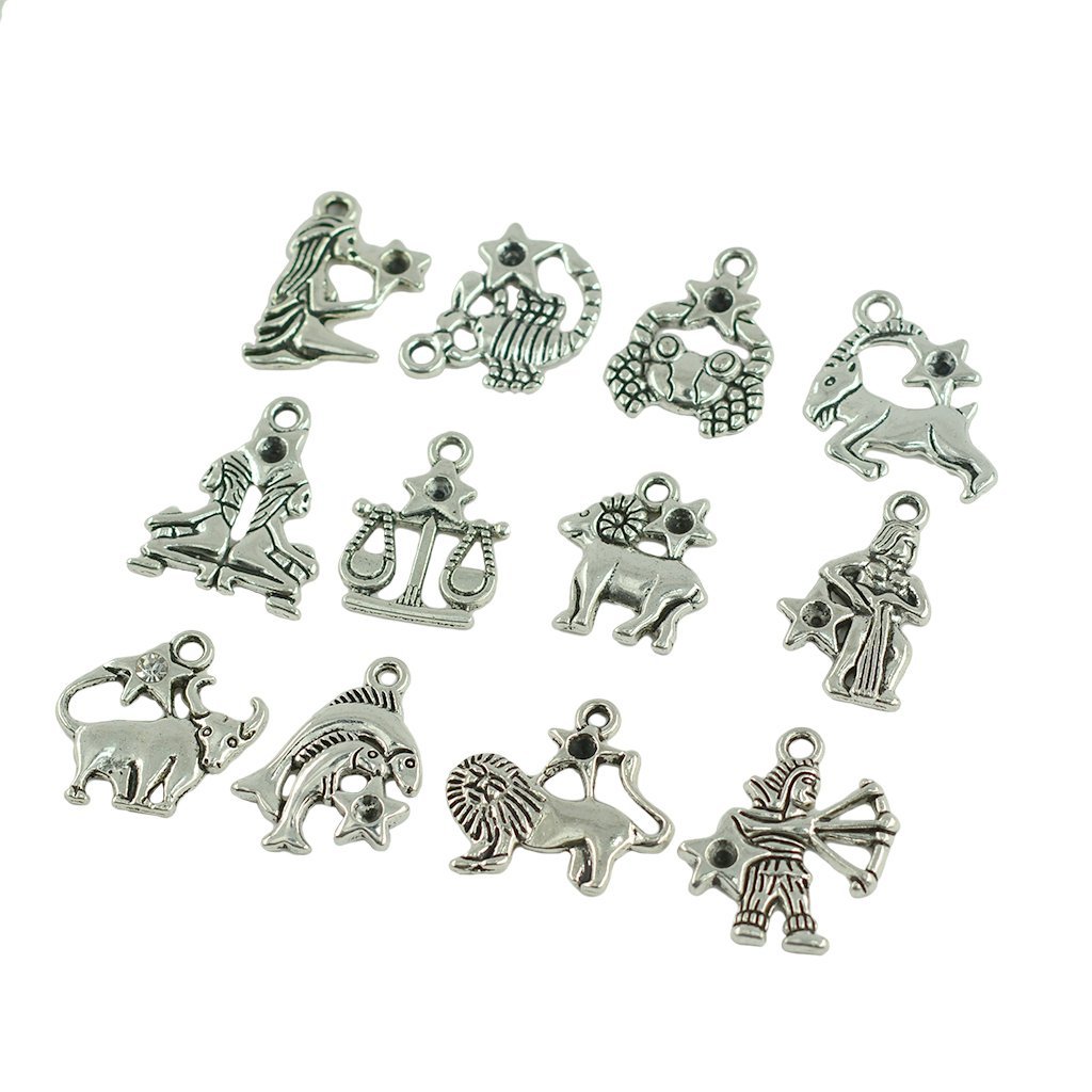 24-Piece Wholesale Zodiac Sign Charms - DIY Constellation Pendants for Astrology Jewelry Making (Aries, Taurus, Gemini & All 12 Signs) - Perfect for Birthday Gifts, Bracelet Crafting & Horoscope-Themed DIY Projects