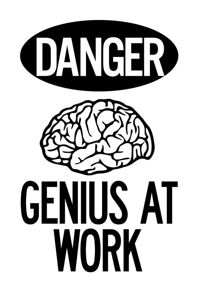 Laminated Warning Danger Genius At Work White Poster - 16x24 Dry Erase Wall Art for Office, Classroom & Home Decor - Funny Motivational Sign for Work Spaces