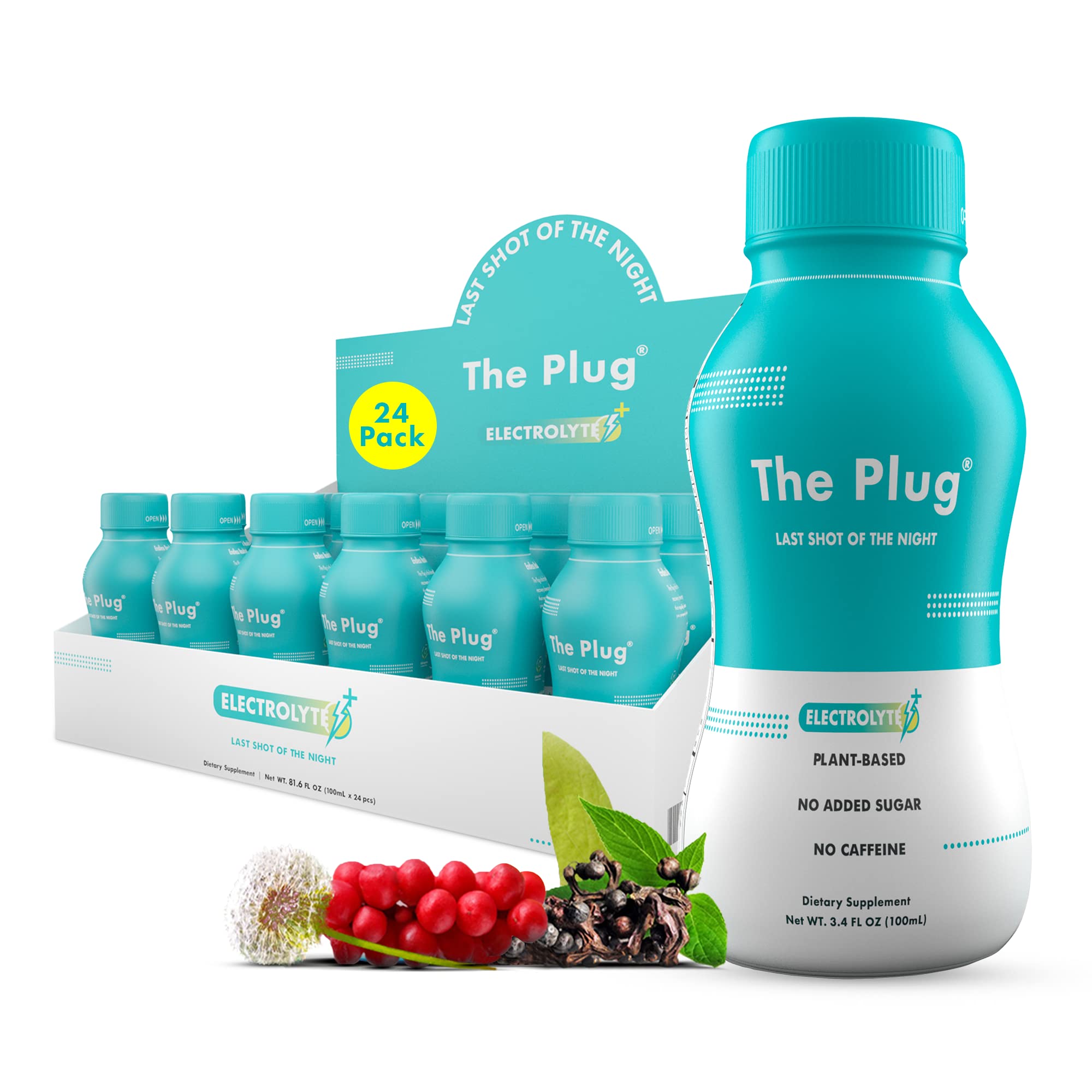 The Plug Liver Cleanse Detox & Repair Drink - Plant-Based Herbal Electrolyte Beverage for Liver Support, Bloating Relief & Antioxidant Restoration | Liver Complex Energy Boost with Essential Minerals (24-Pack) | Perfect for Post-Workout Recovery & Daily Wellness Routine