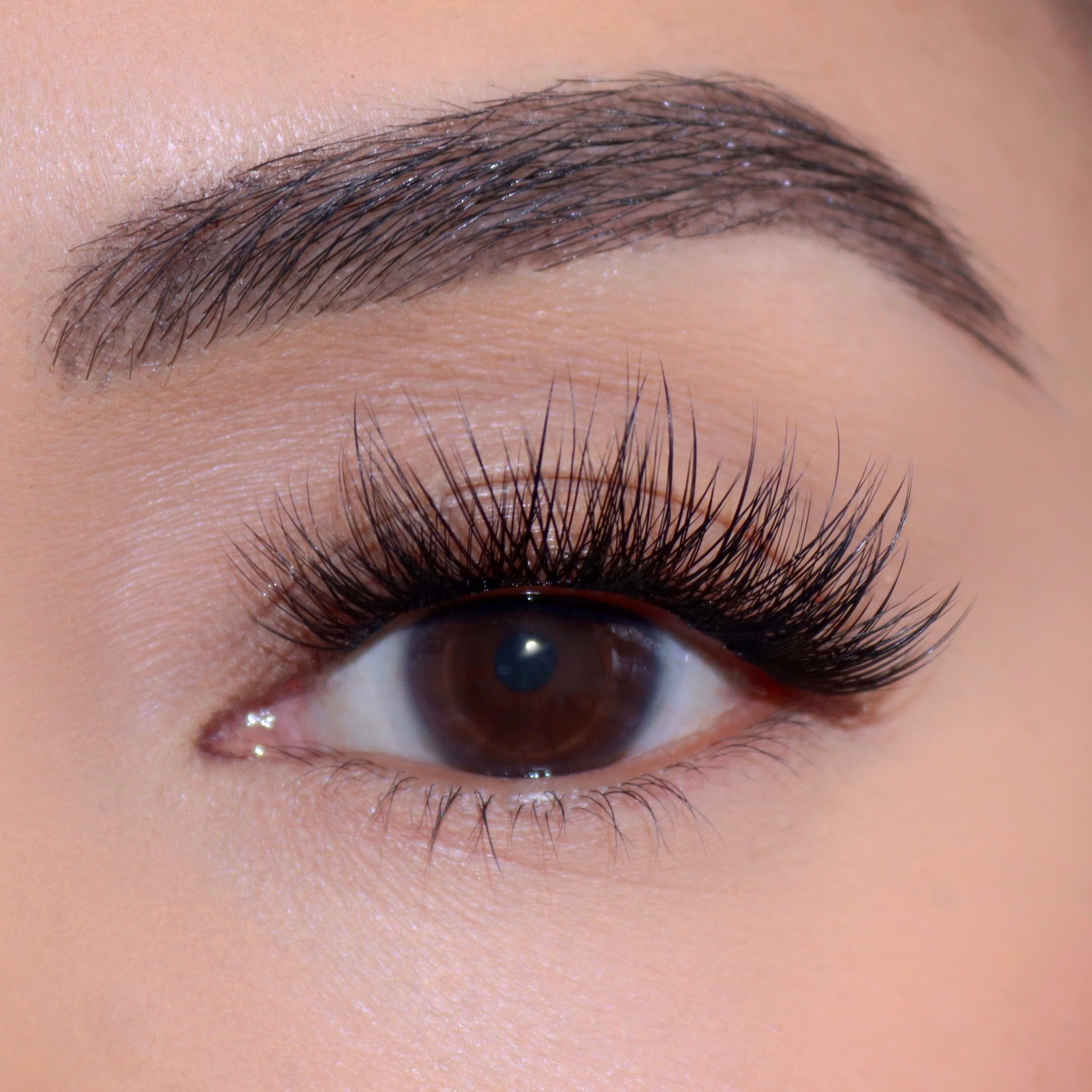 Professional Curated Eyelash Extension Kit - Natural & Dramatic Looks for Every Occasion | Perfect for Bridal, Party & Everyday Wear